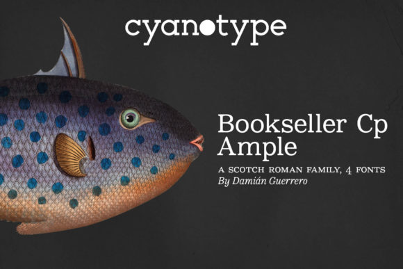 Bookseller Cp Ample: A Font That Elevates Brand Identity