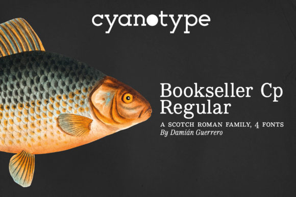 Bookseller Cp Regular: A Font That Elevates Brand Identity