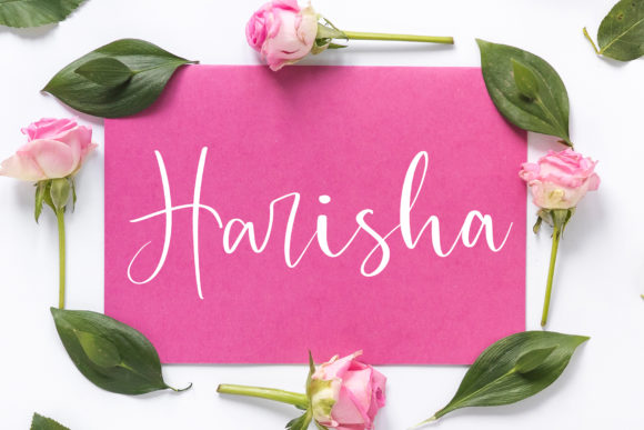 Harisha: A Playful Script Font for Modern Web Design