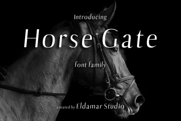 Horse Gate: A Clean Sans Serif Font for Professional Branding