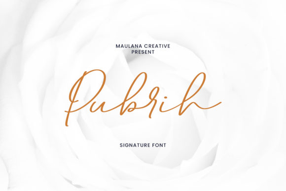 How Pubrih Elevated My Brand’s Visual Identity