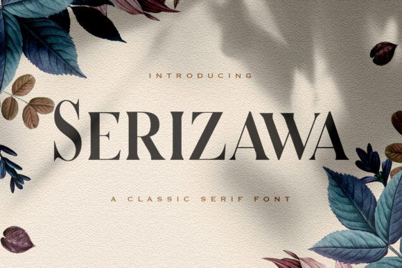 How Serizawa Transformed My Brand’s Visual Identity