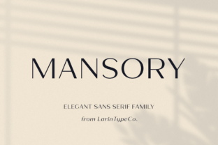 Mansory Font for Modern Branding and Digital Design