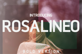 Rosalineo Bold: A Modern Sans Serif for Branding Projects